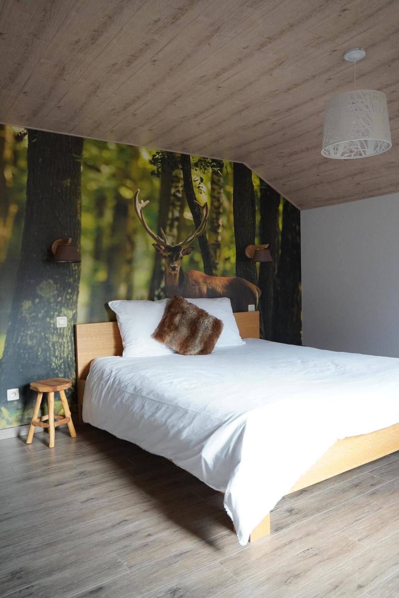 "Petite Perle En Haute Ardenne" Avec Vue Sur La Vallee, Cabine Infra-Rouge Et Bain Balneo Lierneux Zewnętrze zdjęcie